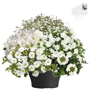 Bild von TP26 Mix 07